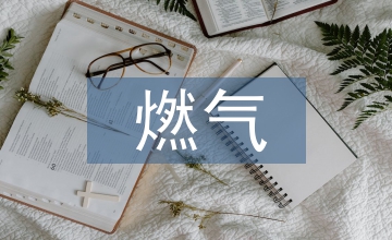 燃?xì)獍l(fā)票管理系統(tǒng)設(shè)計(jì)論文