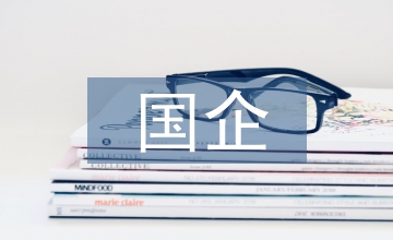國企高層薪酬管理分析