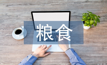 糧食分析報(bào)告
