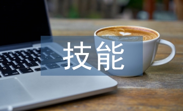 技能培養(yǎng)的會(huì)計(jì)電算化論文