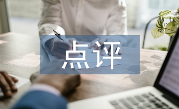 對述職報告的點評意見