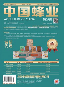 中國養(yǎng)蜂