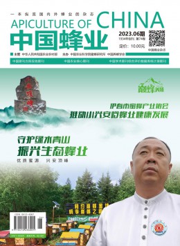 中國蜂業(yè)