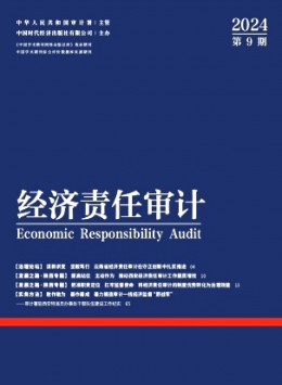 經(jīng)濟(jì)責(zé)任審計
